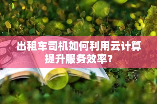 出租车司机如何利用云计算提升服务效率？