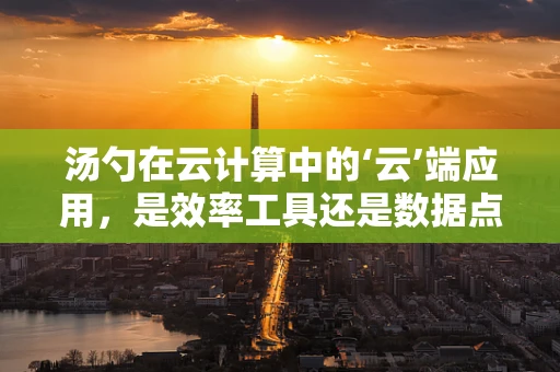 汤勺在云计算中的‘云’端应用，是效率工具还是数据点？