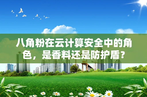 八角粉在云计算安全中的角色，是香料还是防护盾？