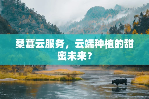 桑葚云服务，云端种植的甜蜜未来？