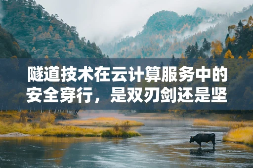 隧道技术在云计算服务中的安全穿行，是双刃剑还是坚固盾牌？