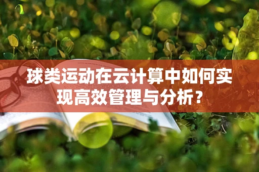 球类运动在云计算中如何实现高效管理与分析？