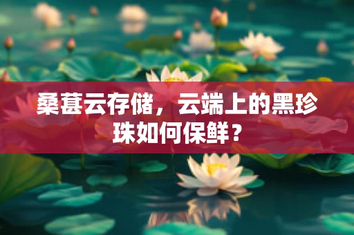桑葚云存储，云端上的黑珍珠如何保鲜？