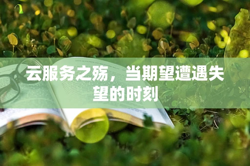 云服务之殇，当期望遭遇失望的时刻