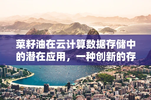 菜籽油在云计算数据存储中的潜在应用，一种创新的存储介质？