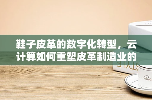 鞋子皮革的数字化转型，云计算如何重塑皮革制造业的未来？