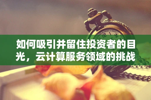 如何吸引并留住投资者的目光，云计算服务领域的挑战与策略