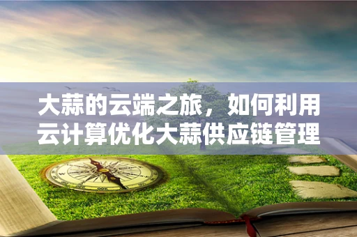 大蒜的云端之旅，如何利用云计算优化大蒜供应链管理？