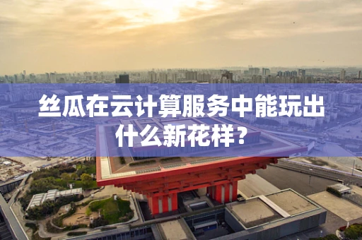 丝瓜在云计算服务中能玩出什么新花样？