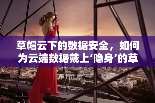 草帽云下的数据安全，如何为云端数据戴上‘隐身’的草帽？