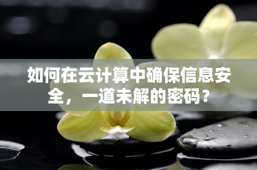 如何在云计算中确保信息安全，一道未解的密码？