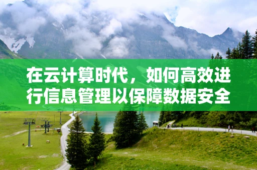 在云计算时代，如何高效进行信息管理以保障数据安全与合规性？