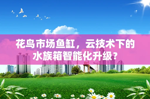 花鸟市场鱼缸，云技术下的水族箱智能化升级？