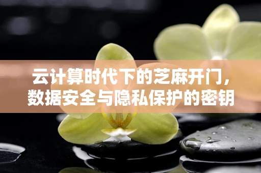云计算时代下的芝麻开门，数据安全与隐私保护的密钥何在？