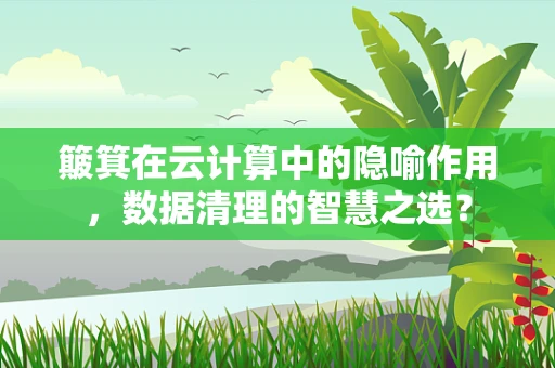 簸箕在云计算中的隐喻作用，数据清理的智慧之选？