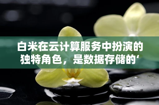白米在云计算服务中扮演的独特角色，是数据存储的‘米仓’吗？