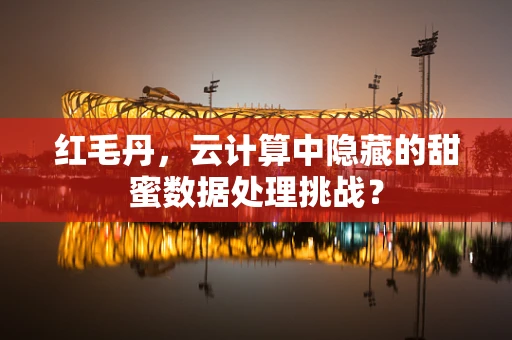 红毛丹，云计算中隐藏的甜蜜数据处理挑战？