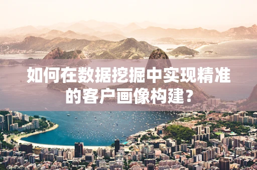 如何在数据挖掘中实现精准的客户画像构建？