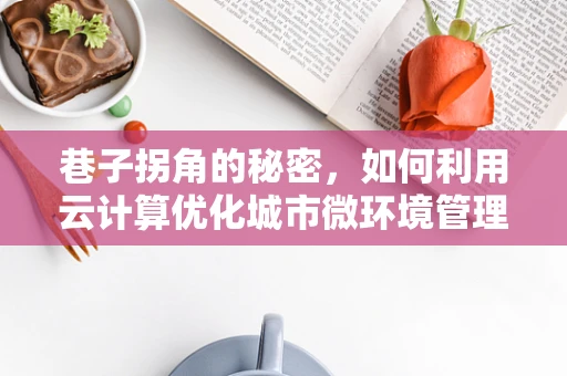 巷子拐角的秘密，如何利用云计算优化城市微环境管理？