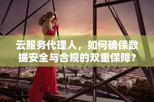 云服务代理人，如何确保数据安全与合规的双重保障？