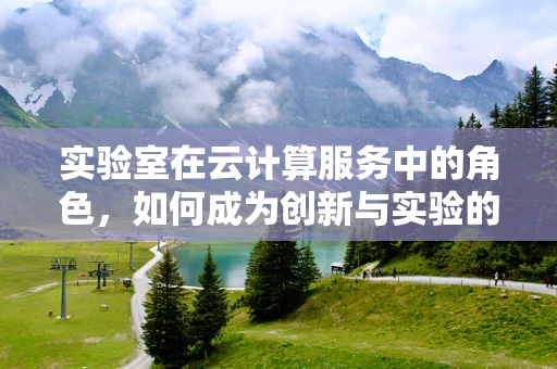 实验室在云计算服务中的角色，如何成为创新与实验的沃土？
