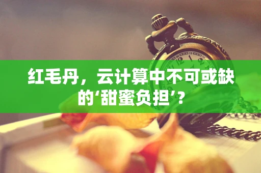 红毛丹，云计算中不可或缺的‘甜蜜负担’？