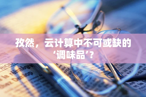 孜然，云计算中不可或缺的‘调味品’？