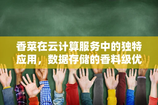 香菜在云计算服务中的独特应用，数据存储的香料级优化？
