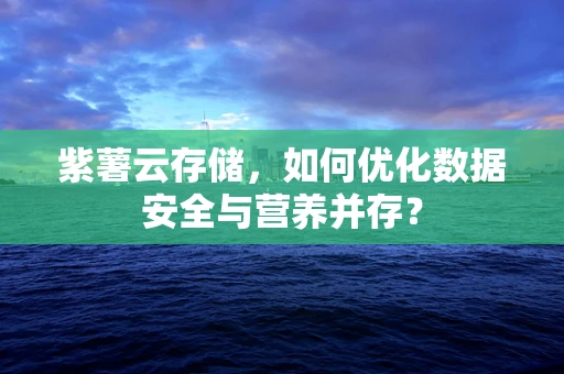 紫薯云存储，如何优化数据安全与营养并存？