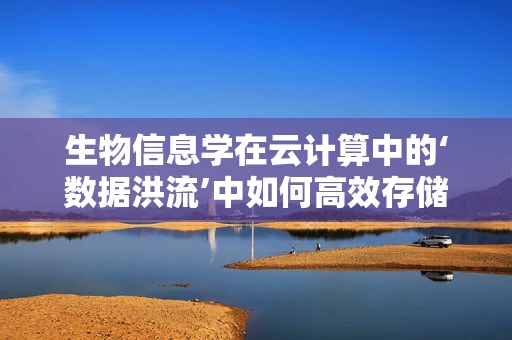 生物信息学在云计算中的‘数据洪流’中如何高效存储与处理？