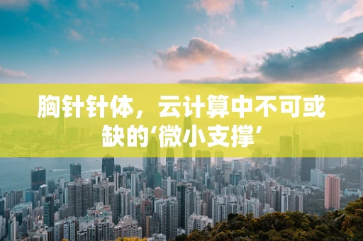 胸针针体，云计算中不可或缺的‘微小支撑’
