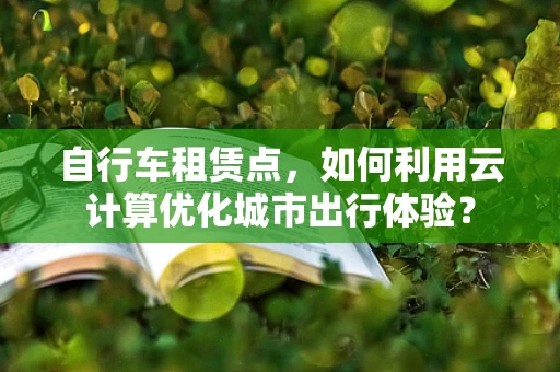 自行车租赁点，如何利用云计算优化城市出行体验？