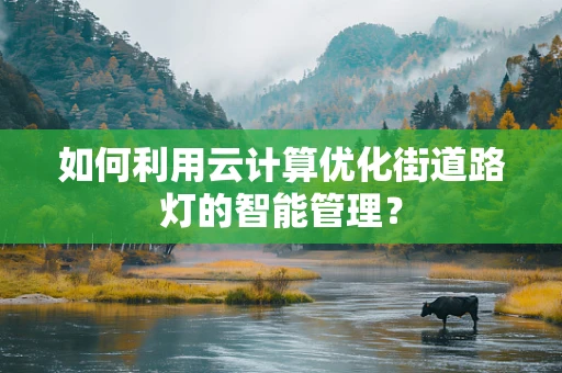 如何利用云计算优化街道路灯的智能管理？