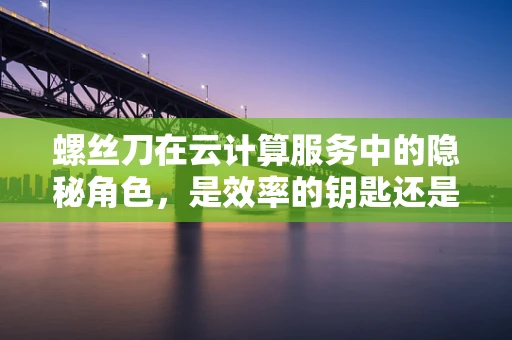 螺丝刀在云计算服务中的隐秘角色，是效率的钥匙还是安全的隐患？
