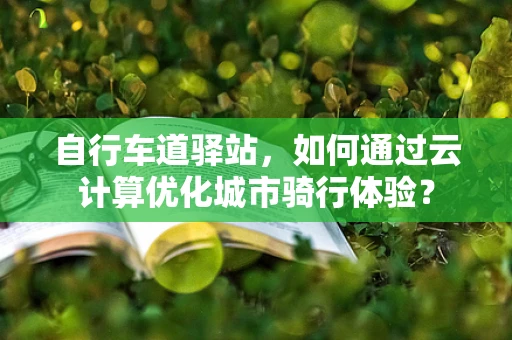 自行车道驿站，如何通过云计算优化城市骑行体验？