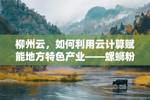 柳州云，如何利用云计算赋能地方特色产业——螺蛳粉的数字化转型之路？