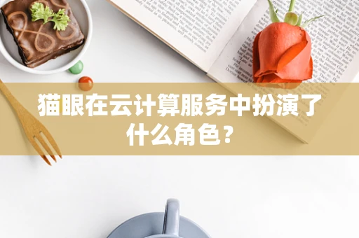 猫眼在云计算服务中扮演了什么角色？