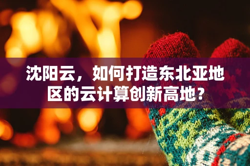 沈阳云，如何打造东北亚地区的云计算创新高地？