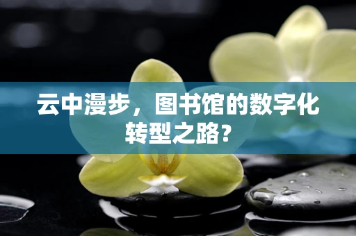 云中漫步，图书馆的数字化转型之路？