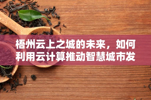 梧州云上之城的未来，如何利用云计算推动智慧城市发展？
