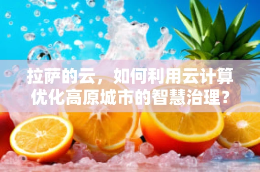 拉萨的云，如何利用云计算优化高原城市的智慧治理？