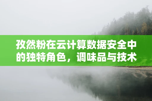 孜然粉在云计算数据安全中的独特角色，调味品与技术的意外交融？