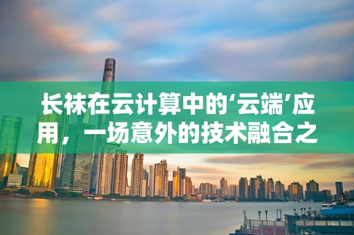 长袜在云计算中的‘云端’应用，一场意外的技术融合之旅？