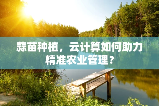 蒜苗种植，云计算如何助力精准农业管理？
