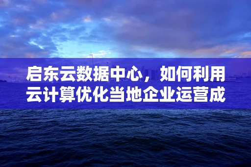 启东云数据中心，如何利用云计算优化当地企业运营成本？