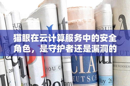 猫眼在云计算服务中的安全角色，是守护者还是漏洞的源头？