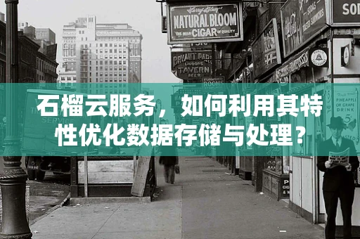 石榴云服务，如何利用其特性优化数据存储与处理？