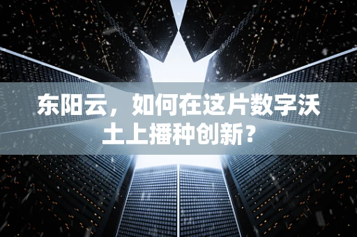 东阳云，如何在这片数字沃土上播种创新？