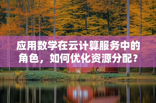 应用数学在云计算服务中的角色，如何优化资源分配？