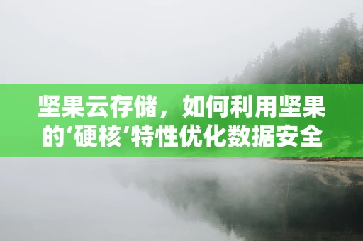 坚果云存储，如何利用坚果的‘硬核’特性优化数据安全与访问？